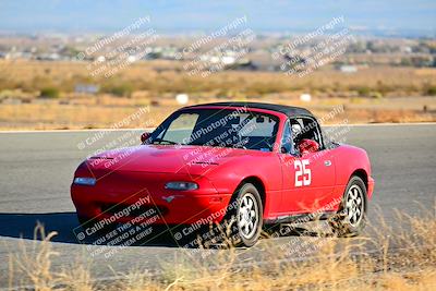 media/Nov-16-2024-Extreme Speed (Sat) [[6587d07cc4]]/Purple Group/Session 3 (The Bowl)/